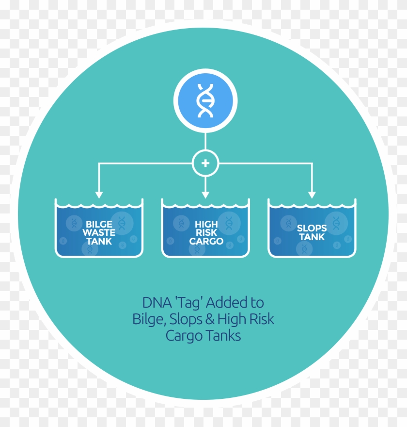An Image Detailing How A Tracer Tracer Added To Bilge - Circle Clipart