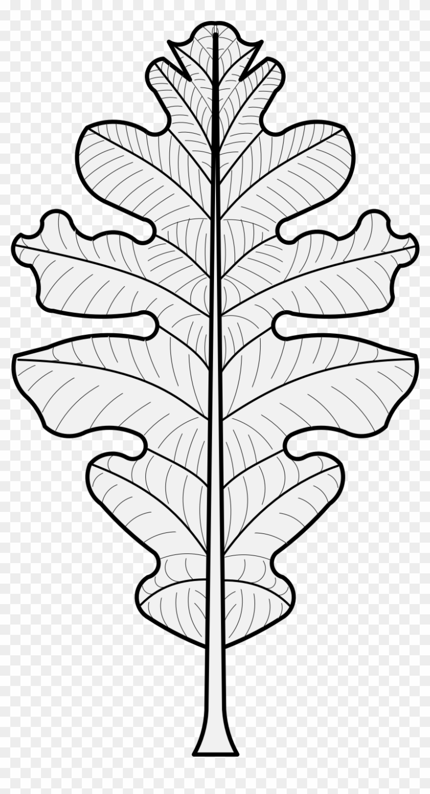 Details, Png - Oak Leaf Heraldry Clipart #2196560