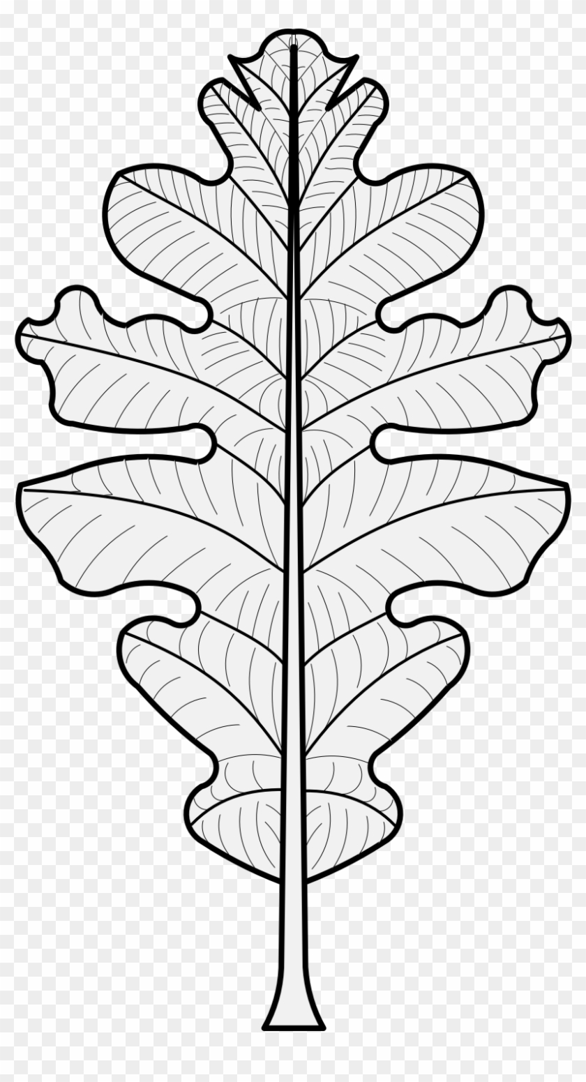 Details, Png - Oak Leaf Heraldry Clipart