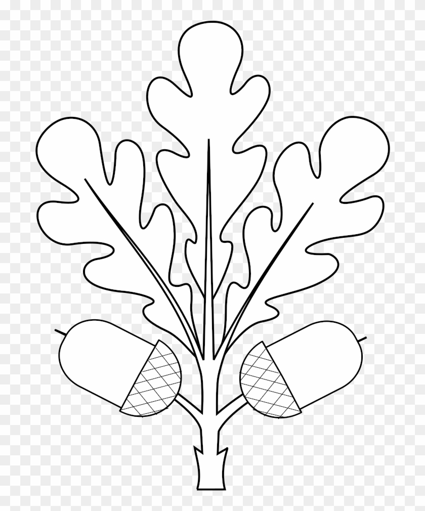 Heraldry Oak Leaf Fructed - Oak Leafs Svg Clipart