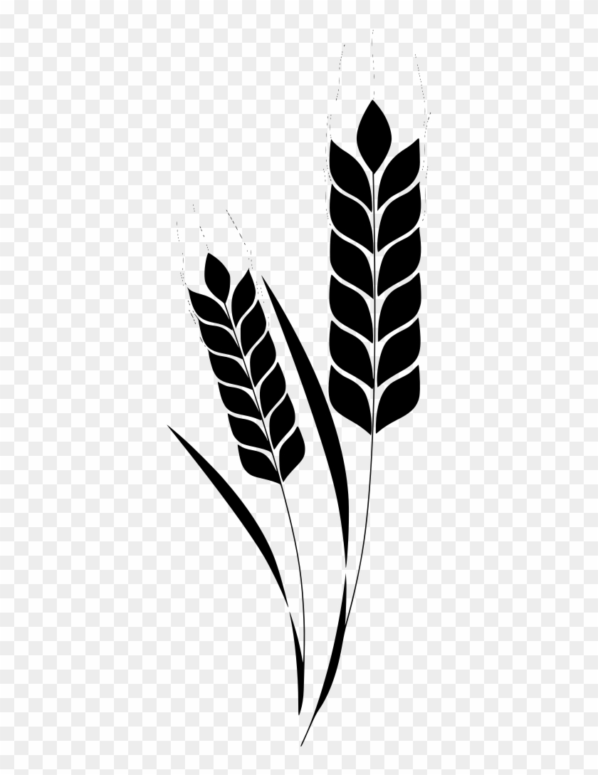 Vector Library Stock Corn Plant Wheat Stem Free Image - Экспорт Пшеницы По Странам Clipart