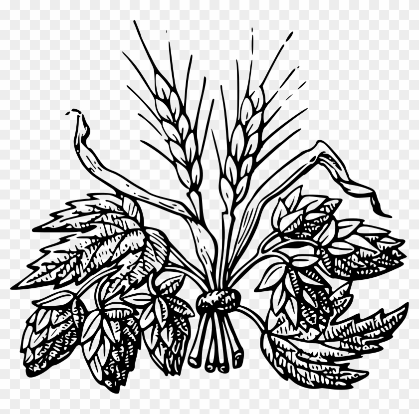 Beer Ingredients Clipart - Png Download #2198148