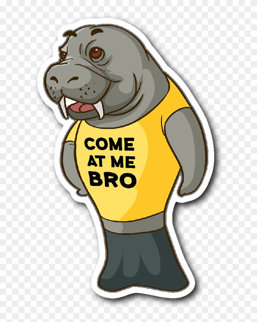 Manatee Come At Me Bro Commercial Novelty Sticker Car - Cartoon Clipart #2198498