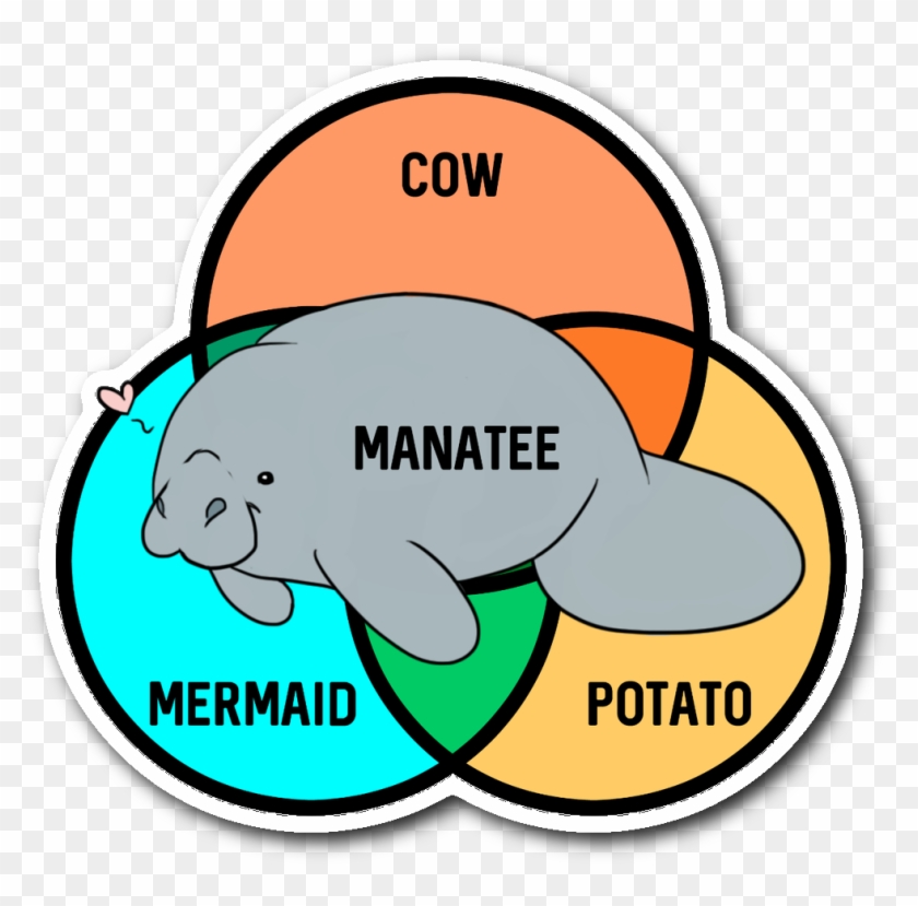 What Even Are Manatees Sticker Clipart