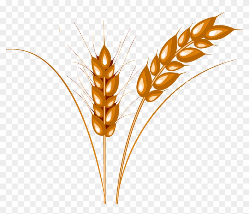 Png Image Purepng Free Transparent Cc Library Ⓒ Clipart