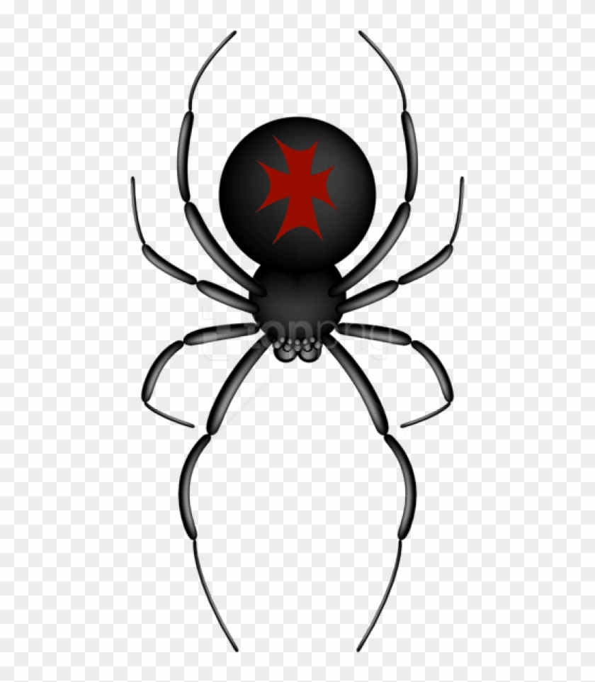Free Png Download Crusader Spider Transparent Png Images - Black Widow Cartoon Transparent Png Clipart #2198844