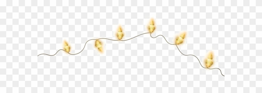 Christmas Light Transparent Images - Light Christmas Png Yellow Clipart #220092