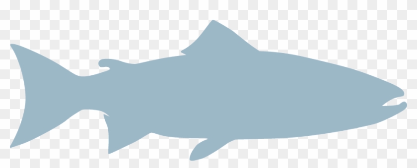 Atlantic Salmon - Outline Of A Salmon Clipart #221521