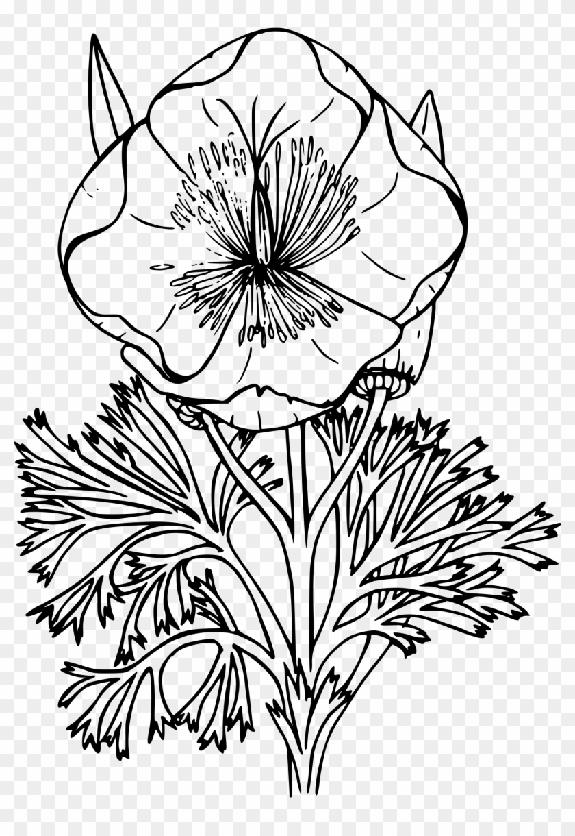 Poppy Outline Drawing At Getdrawings - Wildflower Png Black And White Clipart #221575