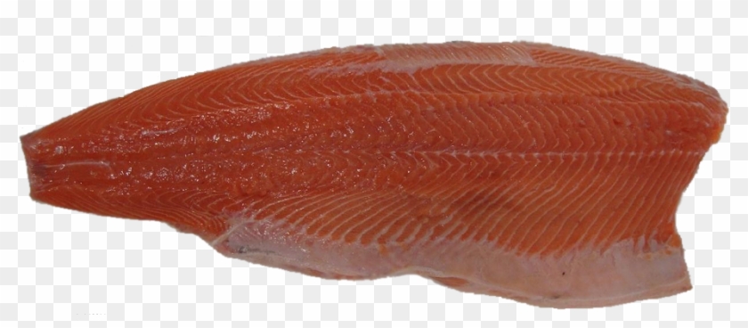 C Trim Minus - Sockeye Salmon Clipart