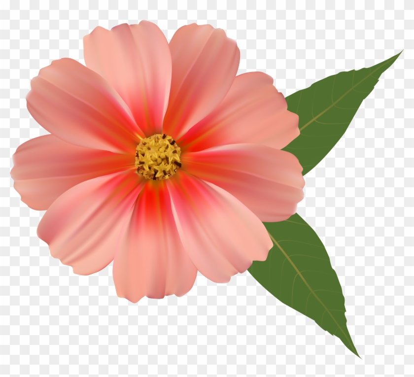 Orange Flower Png Image Clipart - Png Background Flower Hd Png Transparent Png #221980