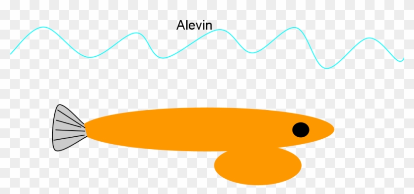 Alevin Clipart #222161