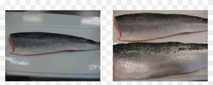 Descaled - Salmon Scaled Vs Descaled Clipart #222224
