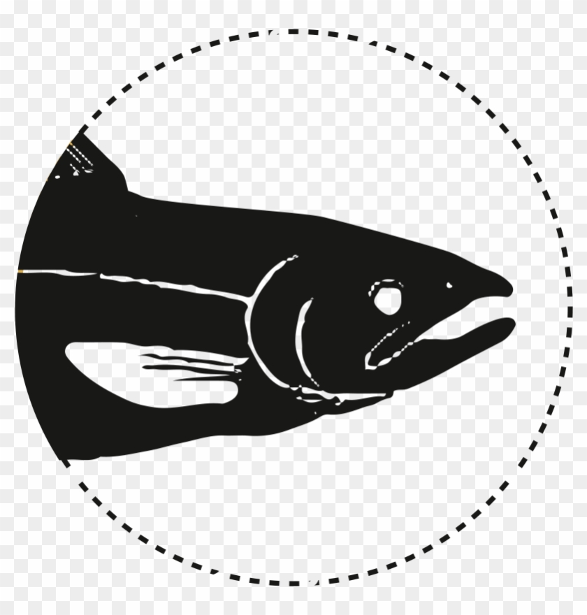 Salmon - Illustration Clipart #222374