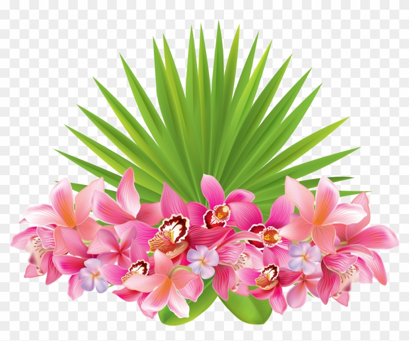 Flower Clipart Image - Tropical Flowers Transparent Background - Png Download #222723