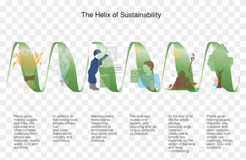 Helix Of Sustainability - Sustainable Graphic Design Packaging Clipart #223093