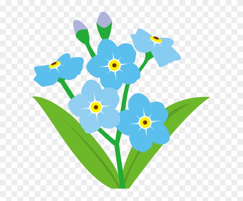 Picture Png Flower Images With Cool Affordable Forget - Forget Me Not Background Transparent Clipart #223095
