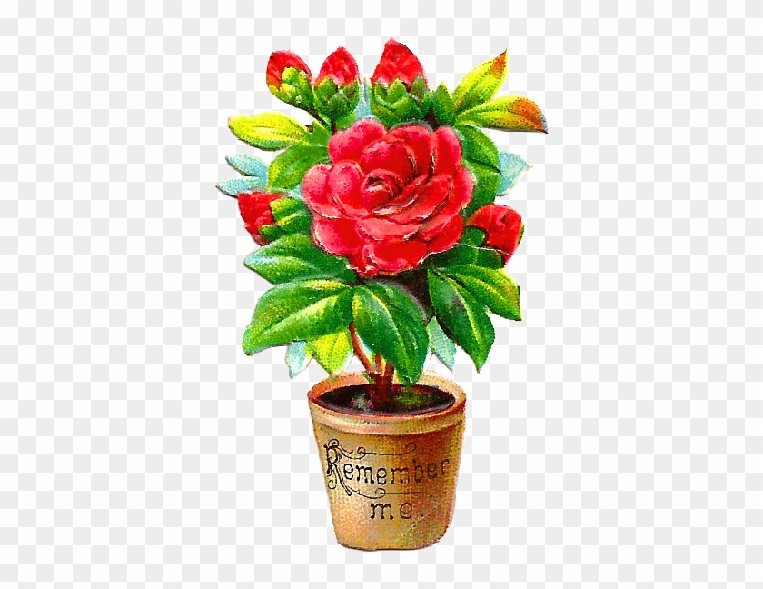 Free Flower Clip Art - Png Flowers Pots Hd Transparent Png #223668