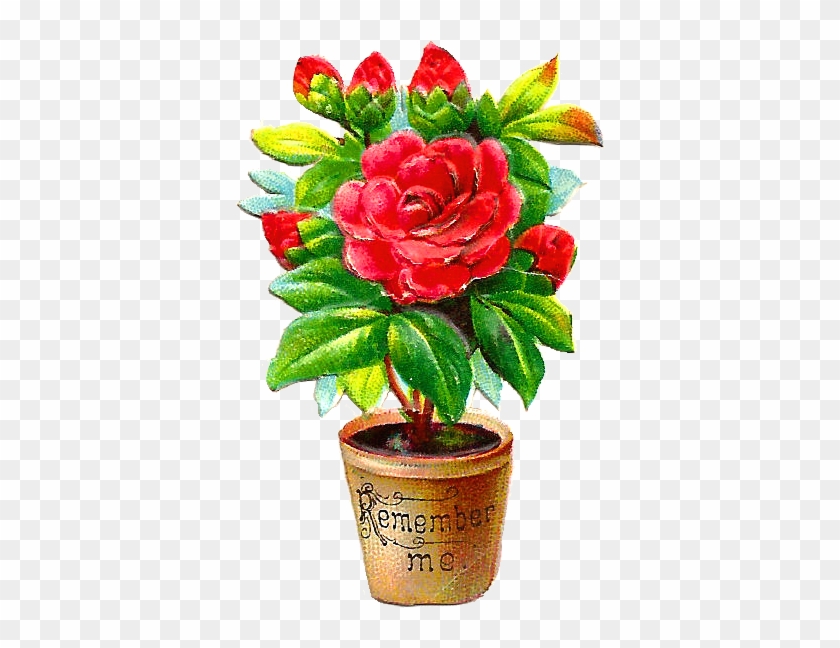 Free Flower Clip Art - Png Flowers Pots Hd Transparent Png
