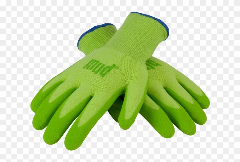 Kiwi - 081k - Wool Clipart #223738