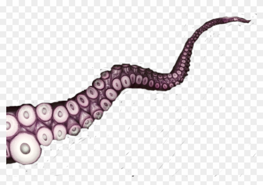 Tentacles Sticker - Octopus Tentacles No Background Clipart
