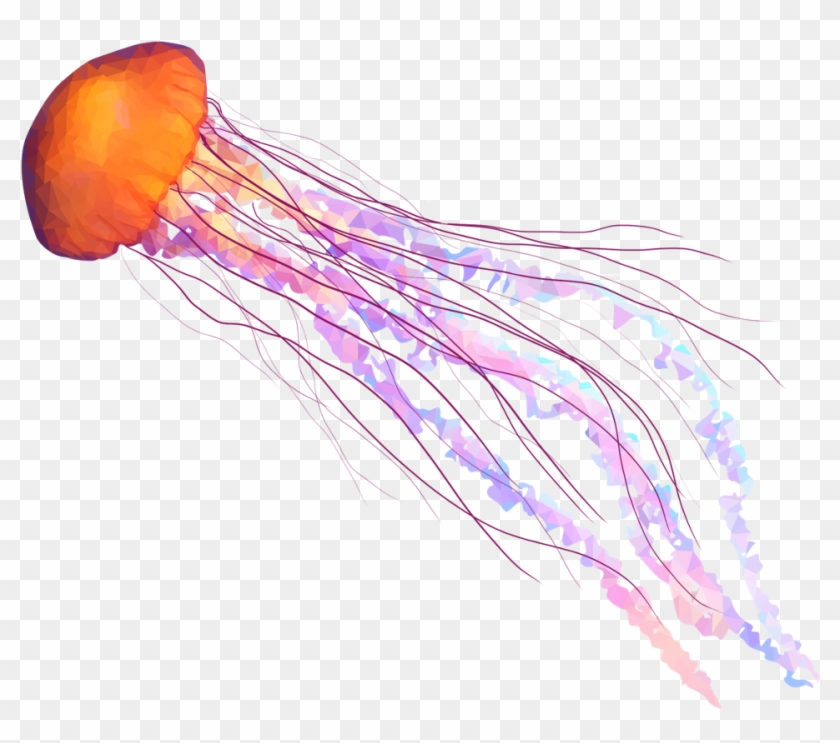 Scjellyfish Sticker - Jelly Fish No Background Clipart #224464
