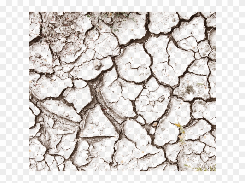 Cracky Decals - Close-up Clipart