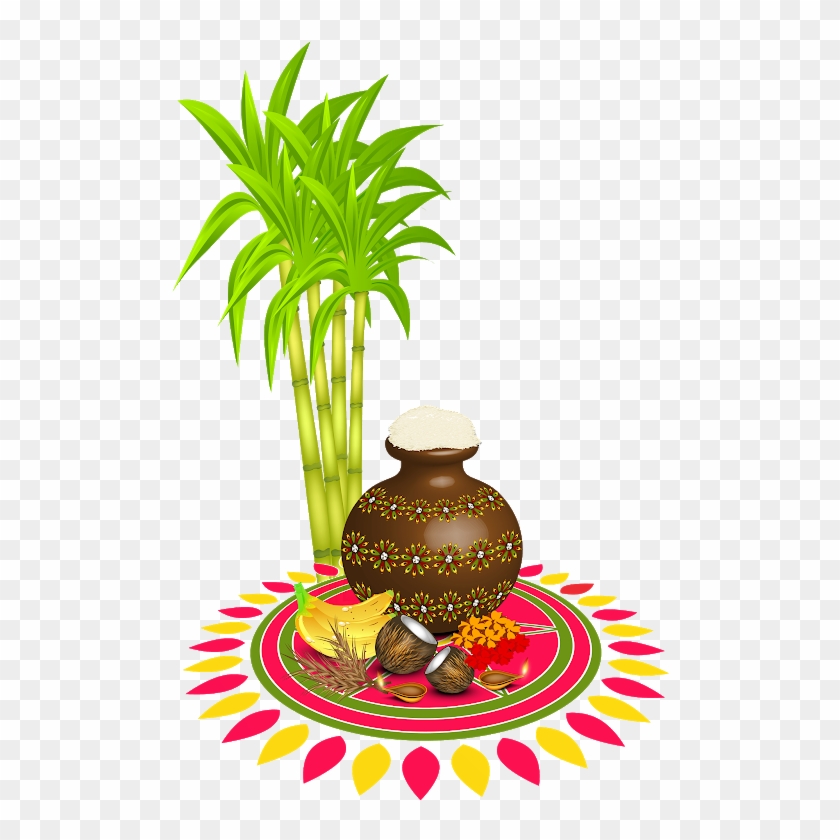 Makar Sankranti Pots Hd In Png Format Free Downloads - Happy Pongal Clipart #225608