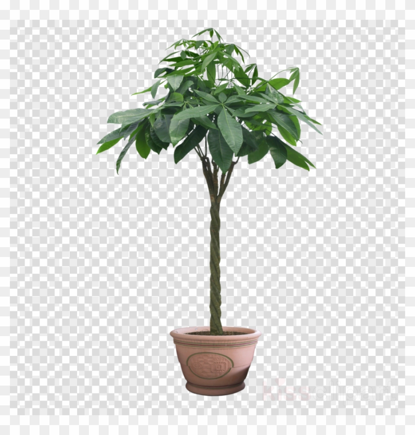 Download Winsoon 5ft Black Single Rustic Sliding Barn - Three Days Grace Outsider Logo Clipart