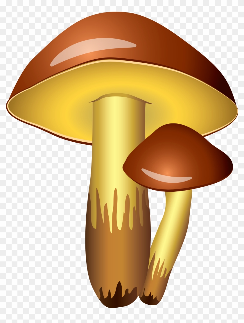 Download - Transparent Background Clipart Mushrooms Transparent - Png Download