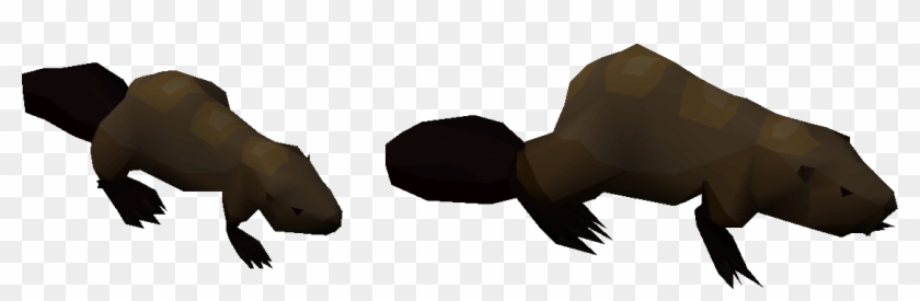 Forums - Eagle Clipart