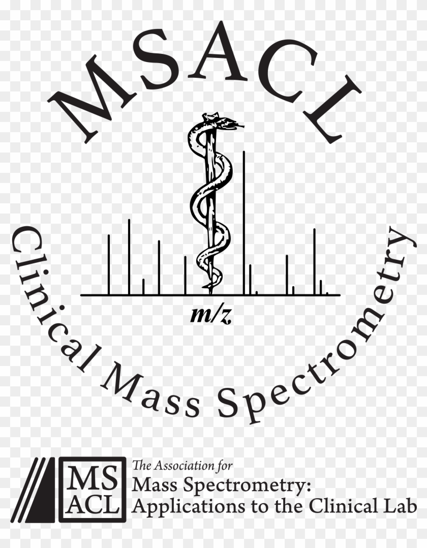 Png With Transparent Background - Calligraphy Clipart