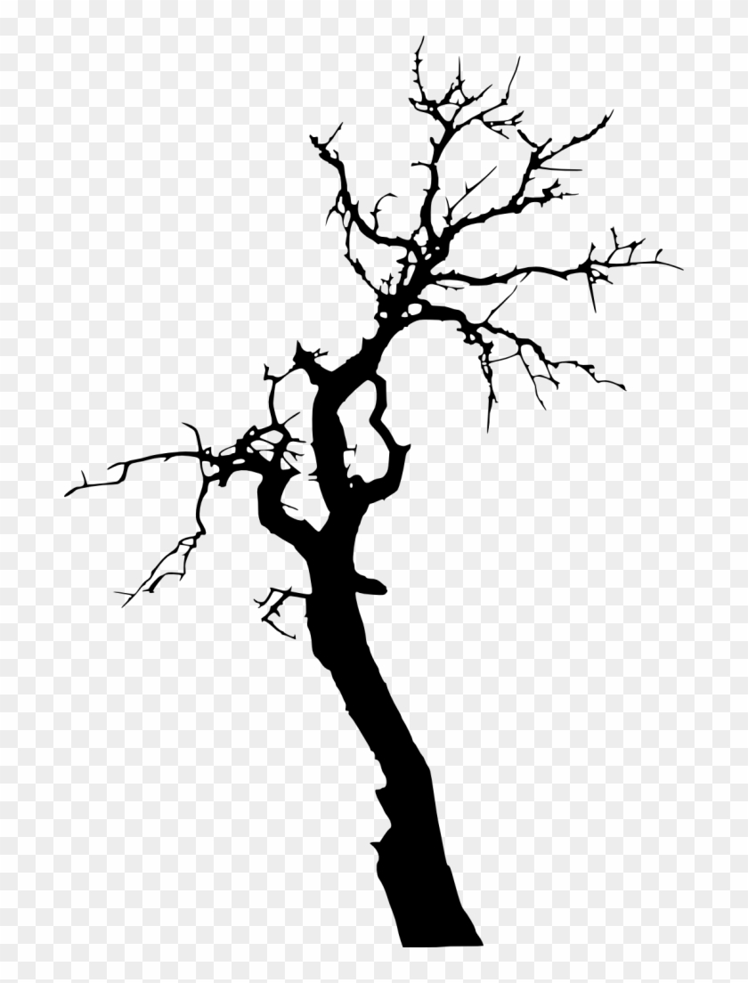 Png File Size - Dead Tree Silhouette Png Clipart #228998