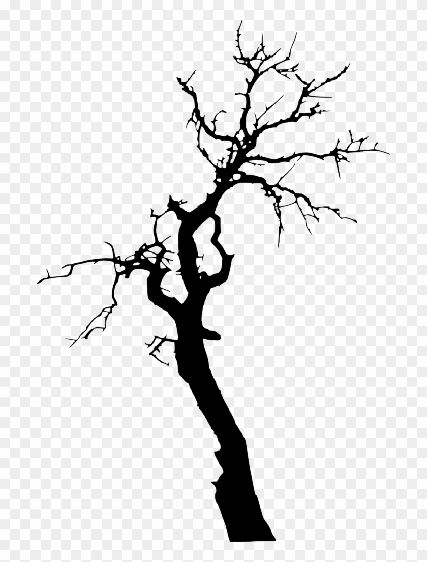 Png File Size - Dead Tree Silhouette Png Clipart