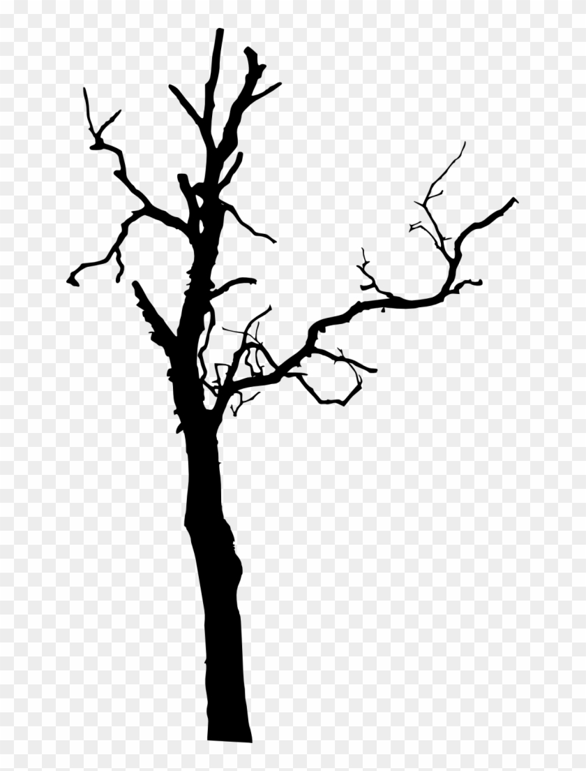 Png File Size - Dead Tree Silhouette Png Clipart