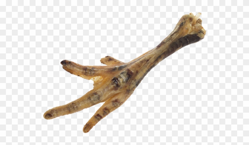 Chicken Feet Png - Paw Clipart