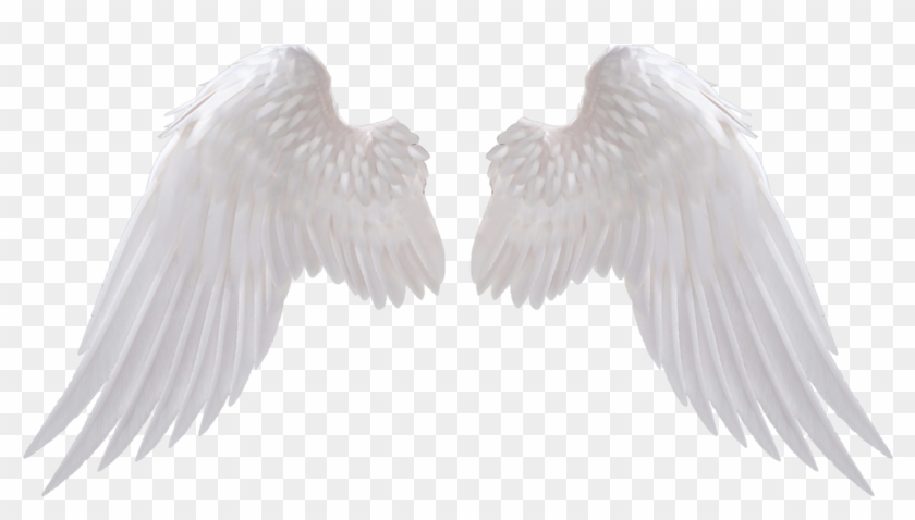 Angel Wings Png Clipart #229916