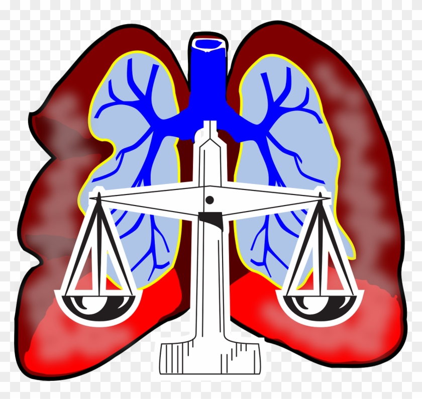 Lungs Clip Art - Lungs Clipart - Png Download #2201454