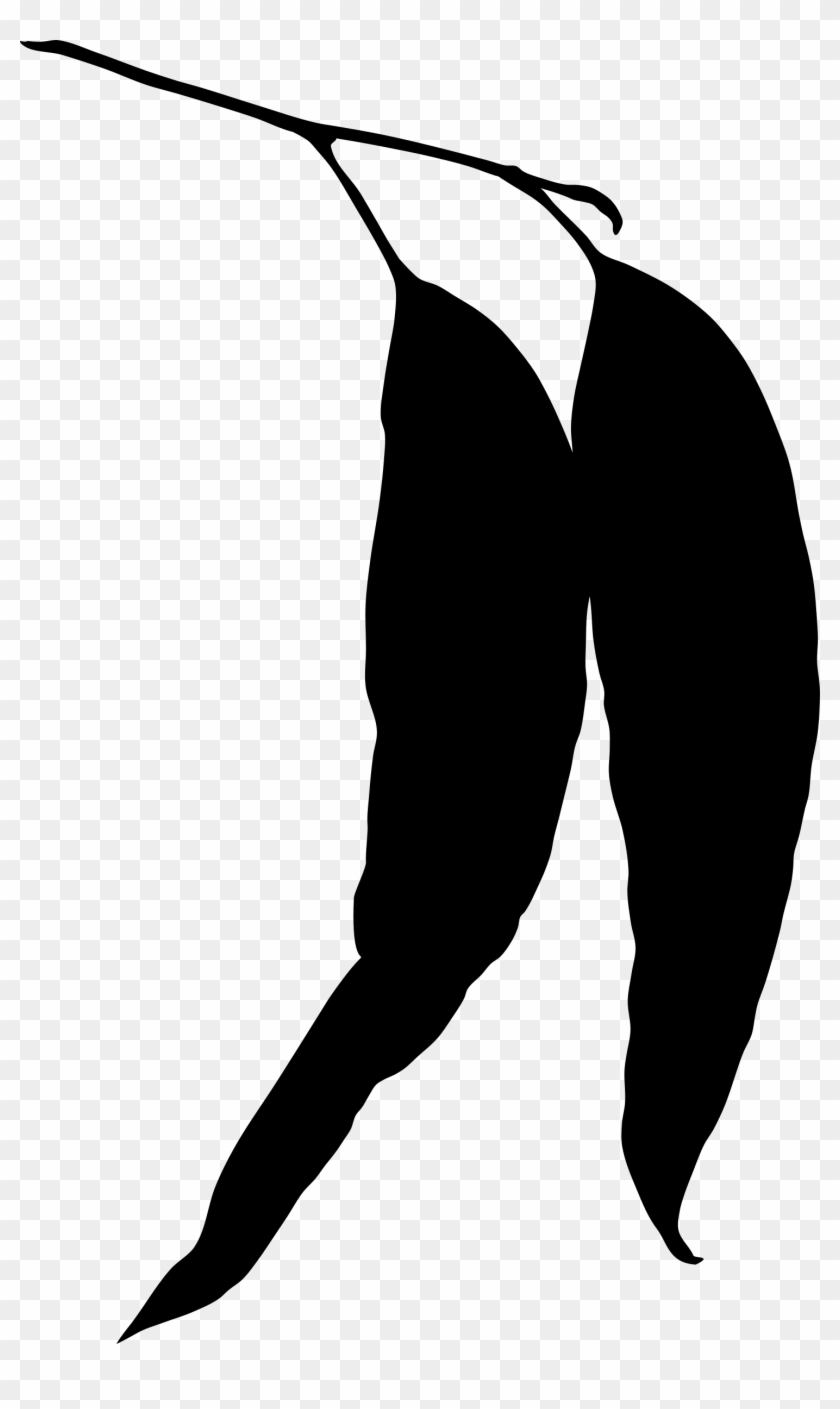 Clipart - Gum Tree Leaf Silhouette - Png Download