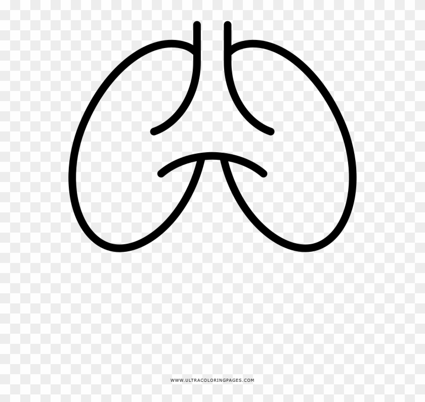 Lungs Coloring Page - Line Art Clipart #2201796