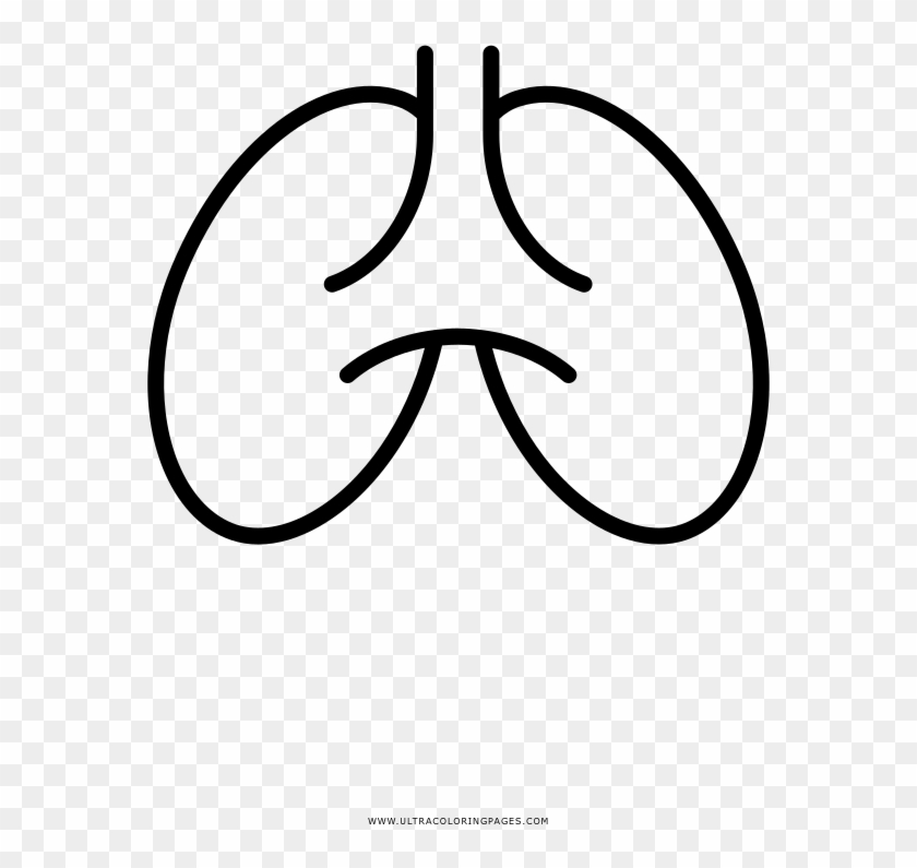Lungs Coloring Page - Line Art Clipart