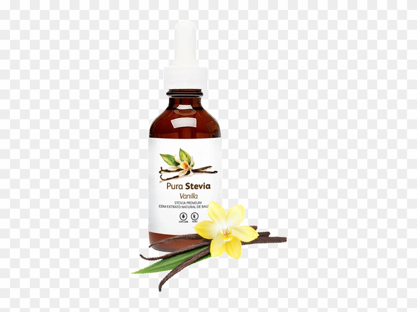 Pura Stevia Vanilla - Camomile Clipart #2202958