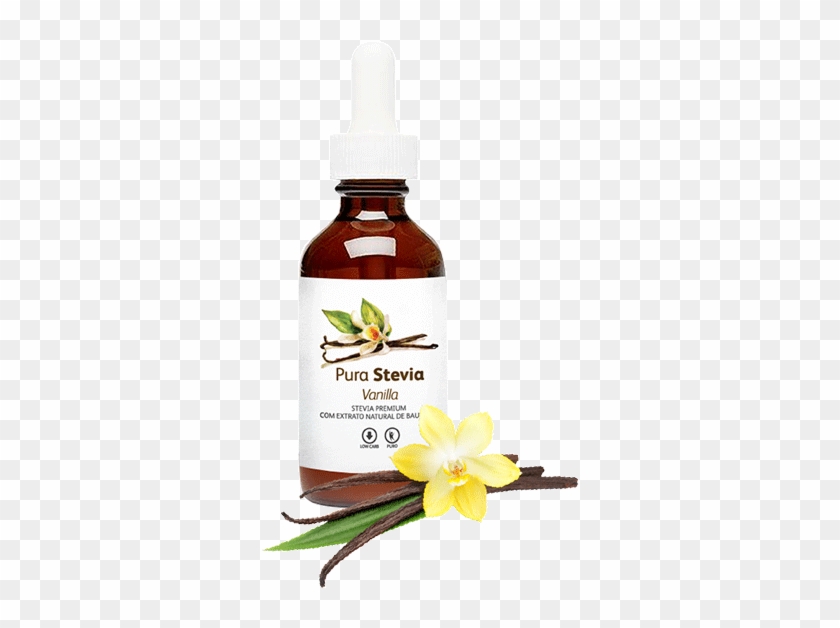 Pura Stevia Vanilla - Camomile Clipart