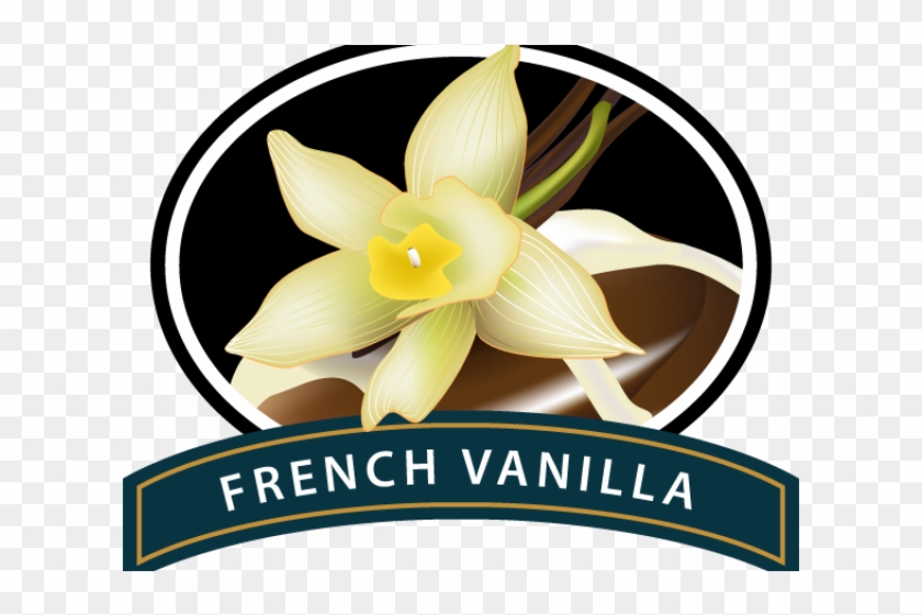 Coffee Beans Clipart Vanilla Bean - French Vanilla Coffee Logo - Png Download #2203213