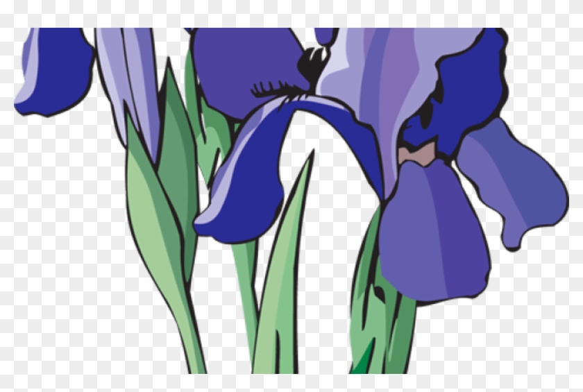 Iris Clipart Transparent - Iris Clipart - Png Download