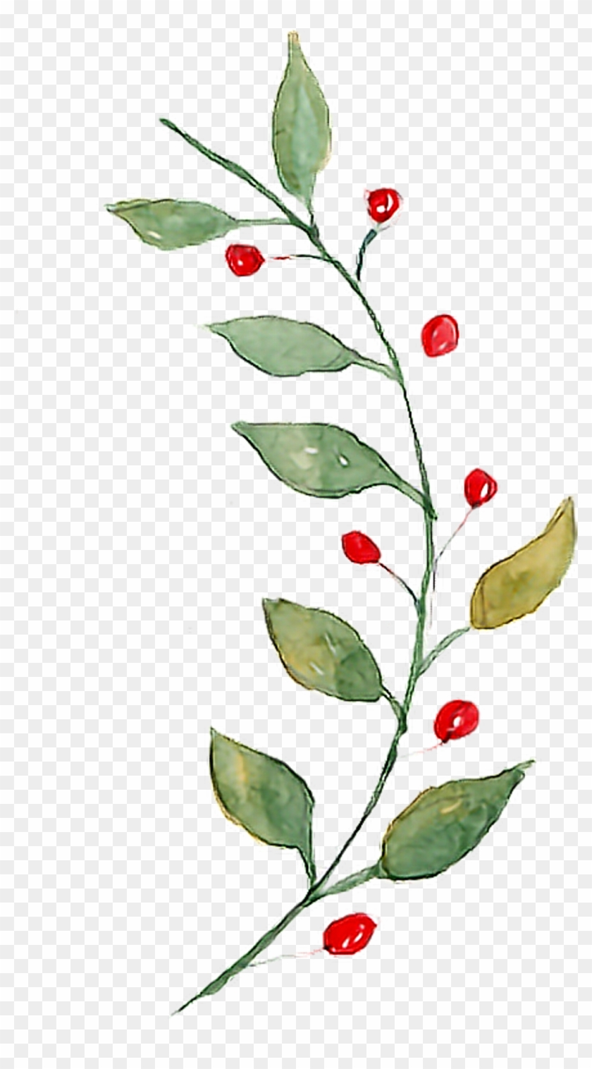 #twig #branches #branch #aquarelle - Twig Branches Clipart