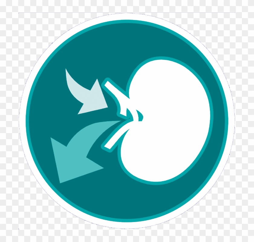 F 04 One Cat Chicken Whole Grains 800g Ensvfinoda Clipart