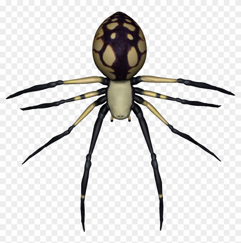 Spider Drawing No Background Clipart #2206277