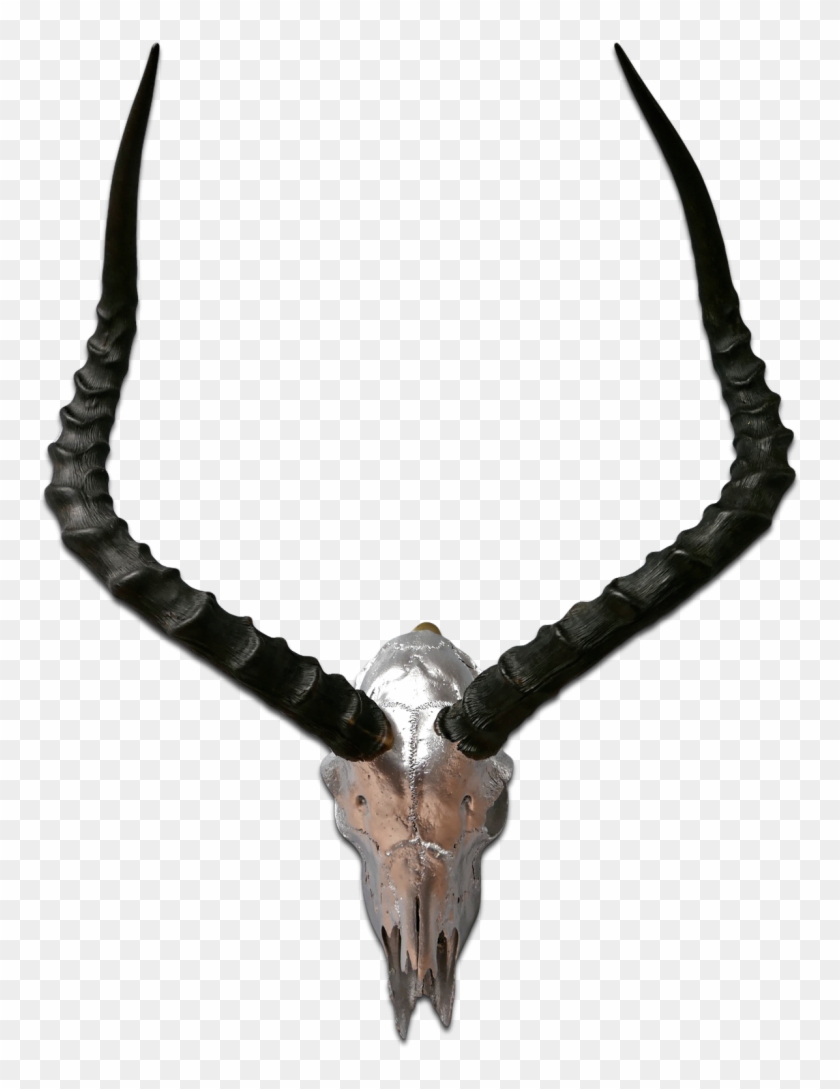 1200 X 1200 12 - Horn Clipart #2208194