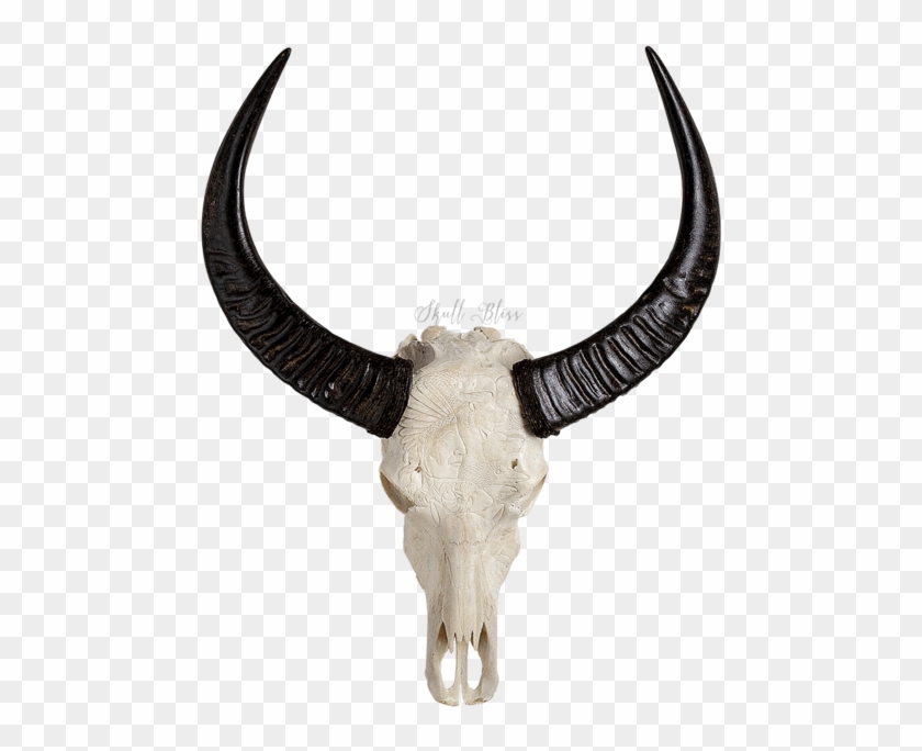 Animal Skull Png - Skull Animals Clipart